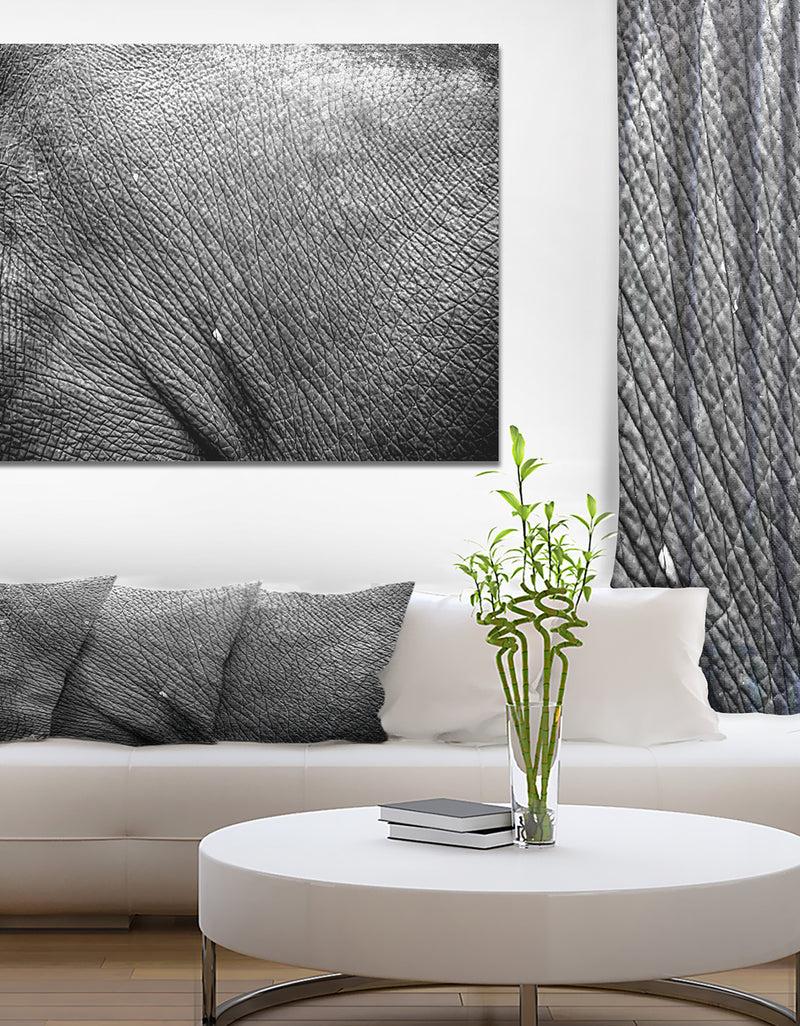 DesignQ Asia Elephant Skin - Africa Animals Photography on Wrapped Canvas