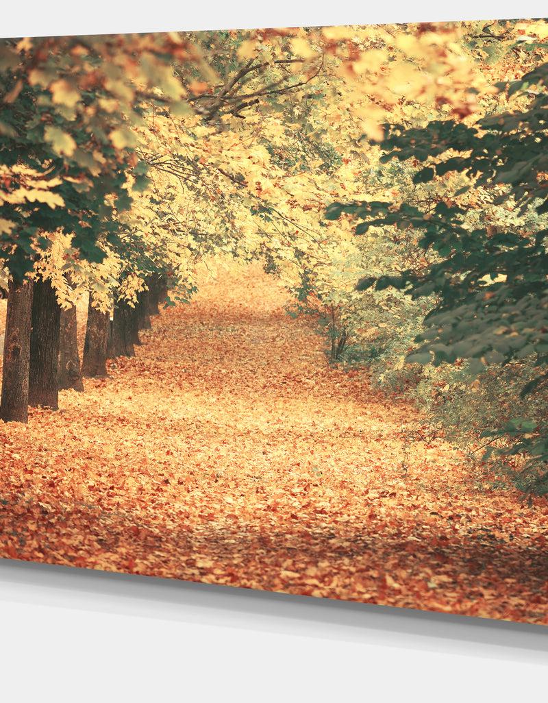 DesignQ Autumn Forest With Walking Path - Modern Forest Canvas Wall Art
