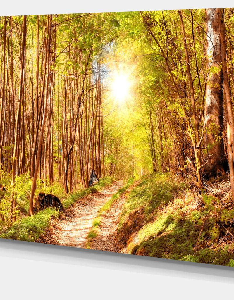 DesignQ Autumn In Denmark Photo- Landscape Canvas Print