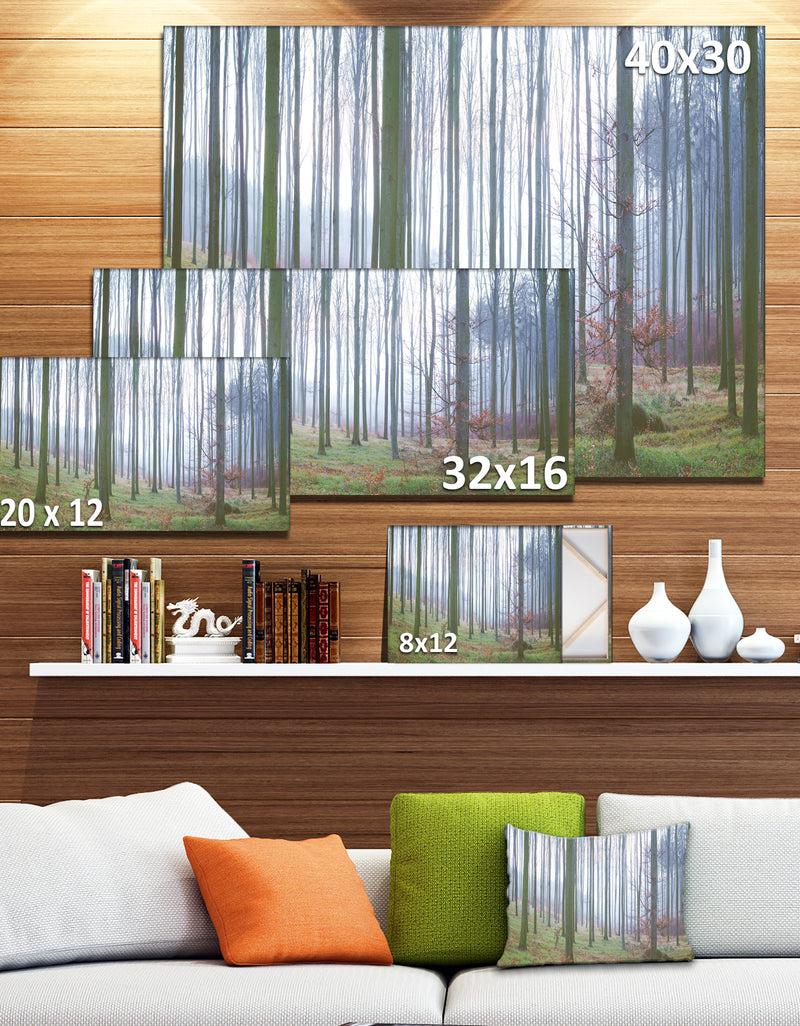 DesignQ Autumn Tree Trunks Panorama - Oversized Forest Canvas Artwork