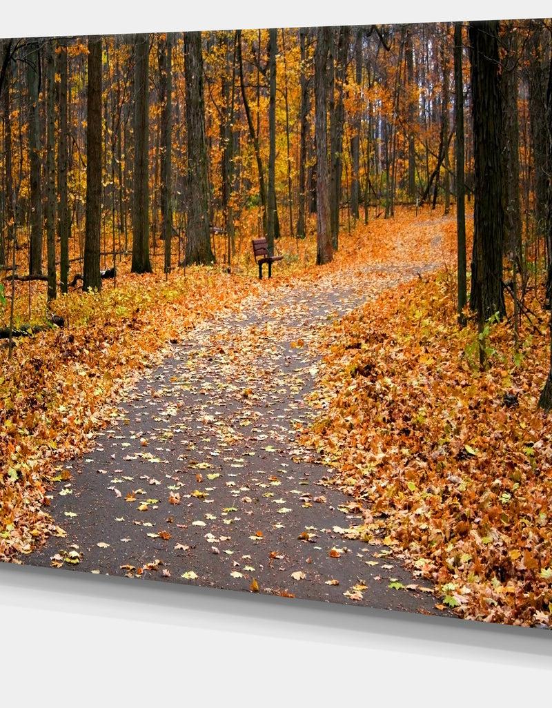 DesignQ Autumn Walk Way With Fallen Leaves - Modern Forest Canvas Art