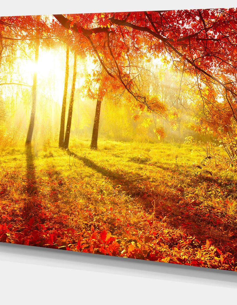 DesignQ Autumnal Park - Landscape Photography Canvas Art Print