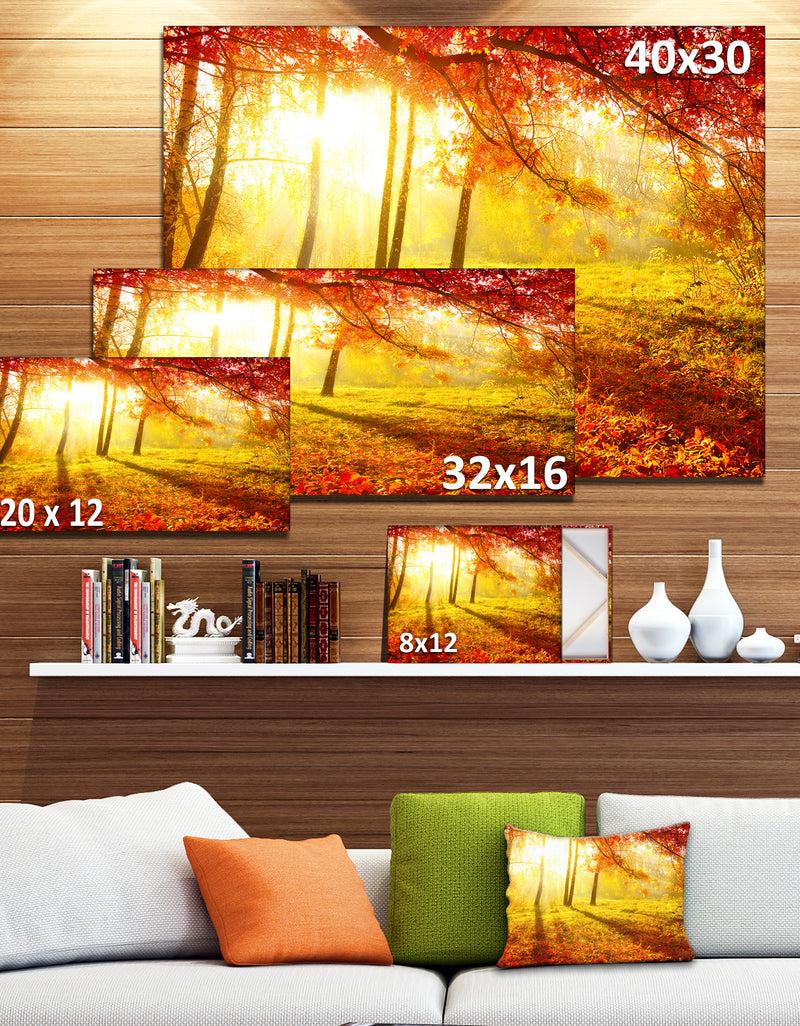DesignQ Autumnal Park - Landscape Photography Canvas Art Print