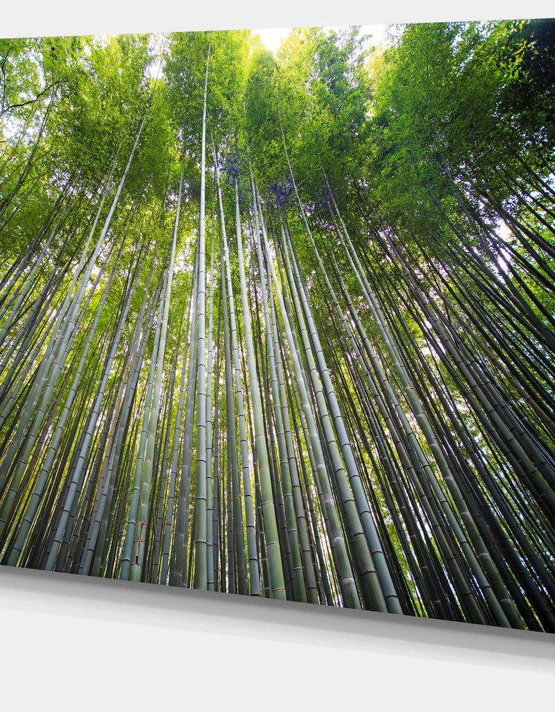 DesignQ Bamboo Forest Of Kyoto Japan. - Forest Canvas Wall Art Print