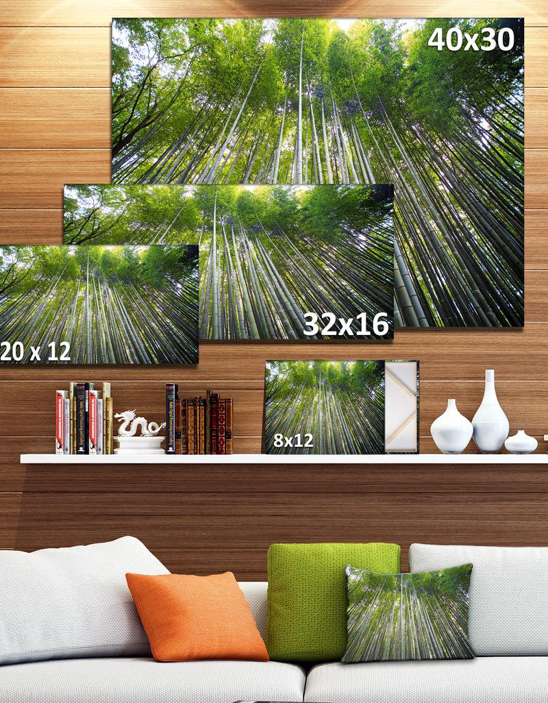 DesignQ Bamboo Forest Of Kyoto Japan. - Forest Canvas Wall Art Print