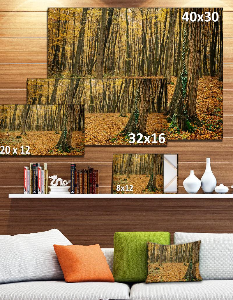 DesignQ Beautiful Autumn Forest In Mountains - Modern Forest Canvas Art