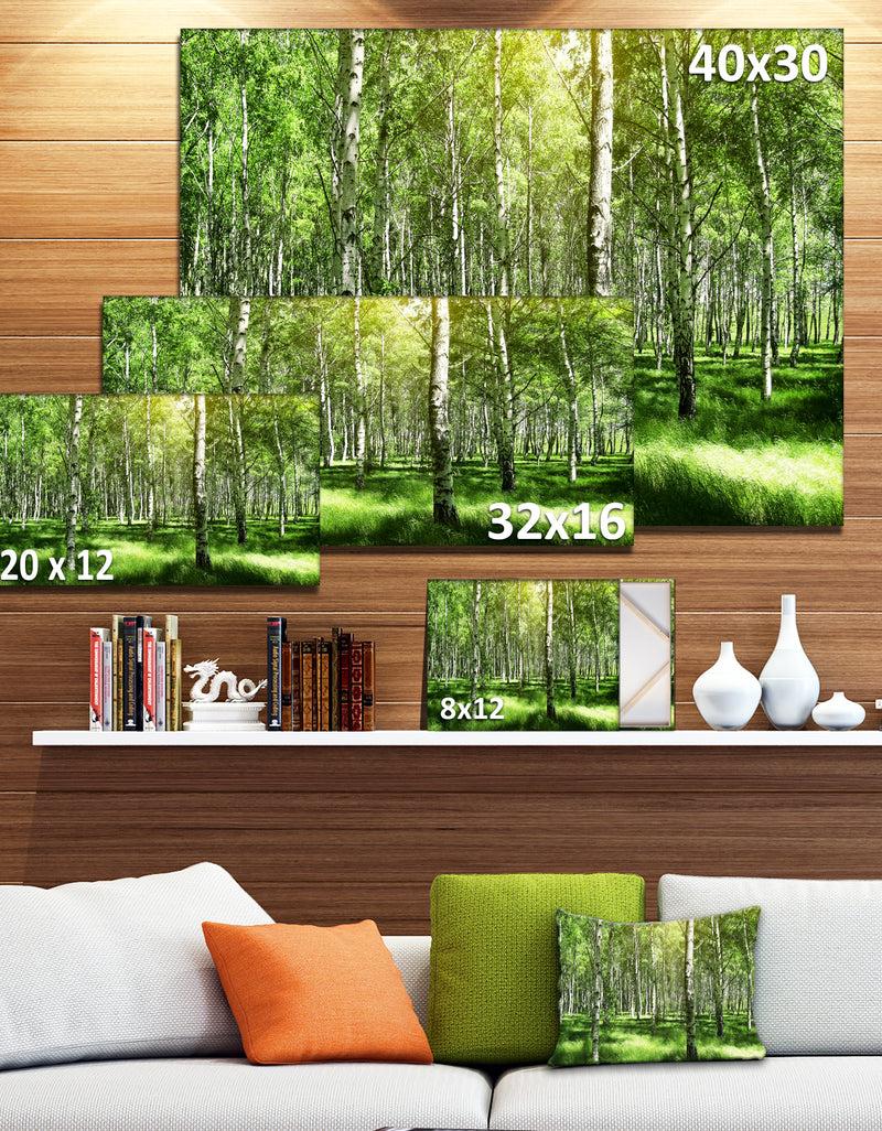 DesignQ Beautiful Birch Grove - Landscape Canvas Art Print