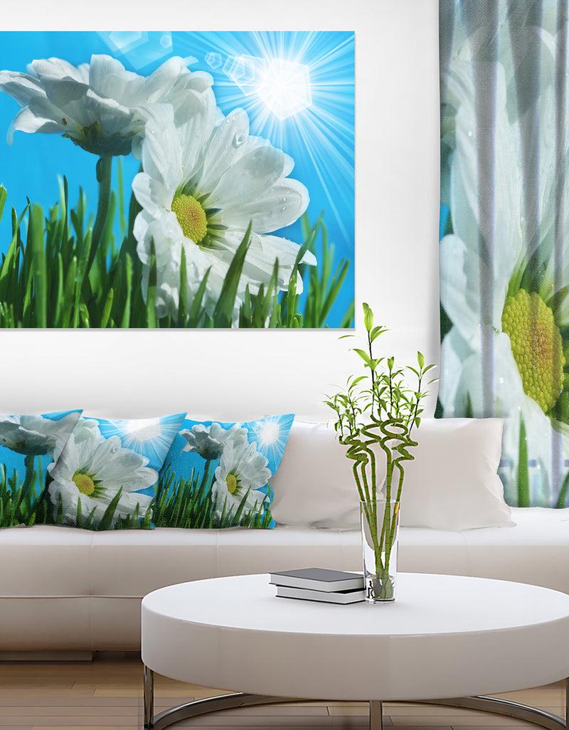 DesignQ Beautiful Chamomiles In Bright Sunlight - Modern Flower Canvas Art Print