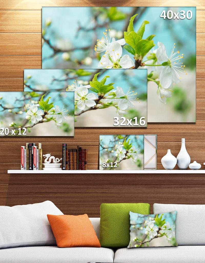 DesignQ Beautiful Cherry Blossom N Spring - Modern Floral Large Canvas Art