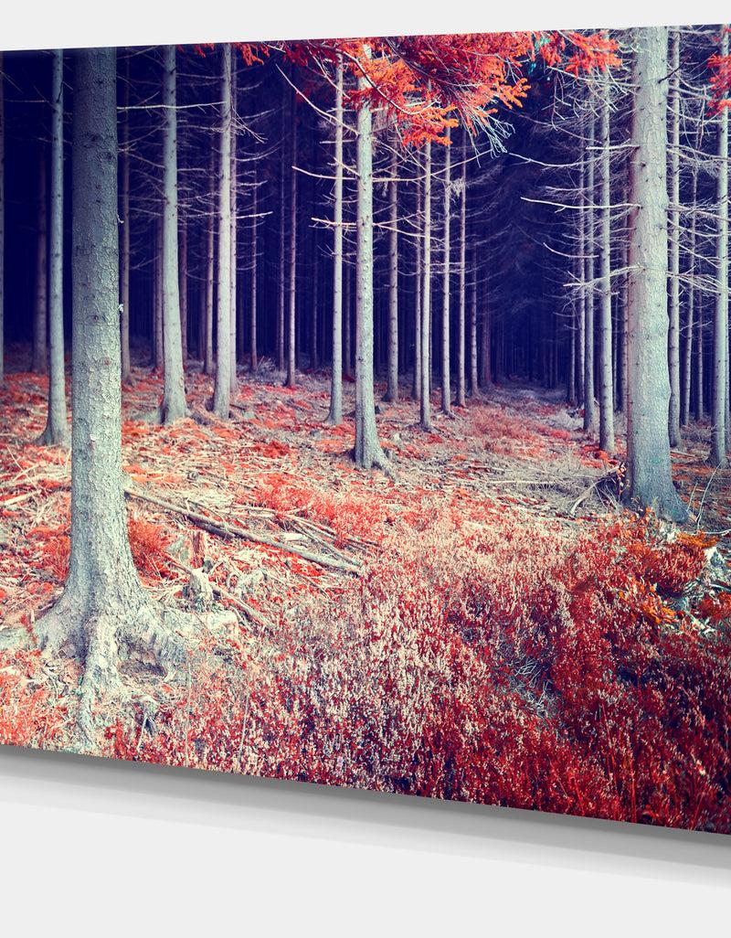DesignQ Beautiful Fall Forest Panorama - Extra Large Landscape Canvas Art Print