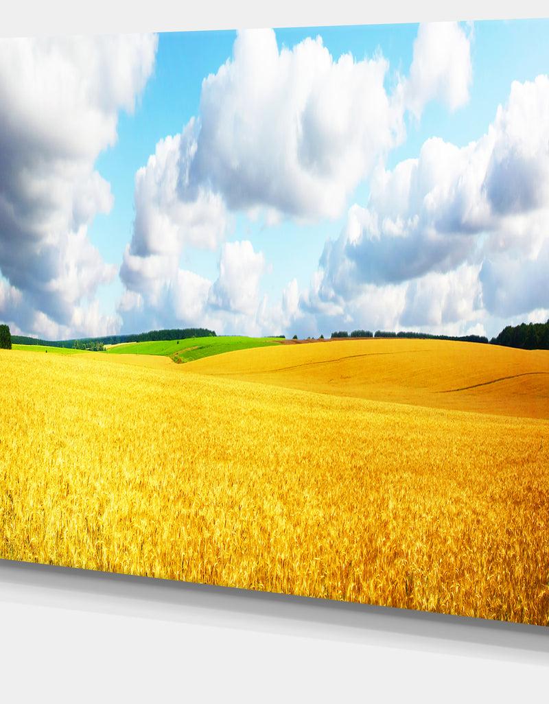 DesignQ Beautiful Field Panorama - Landscape Wall Artwork