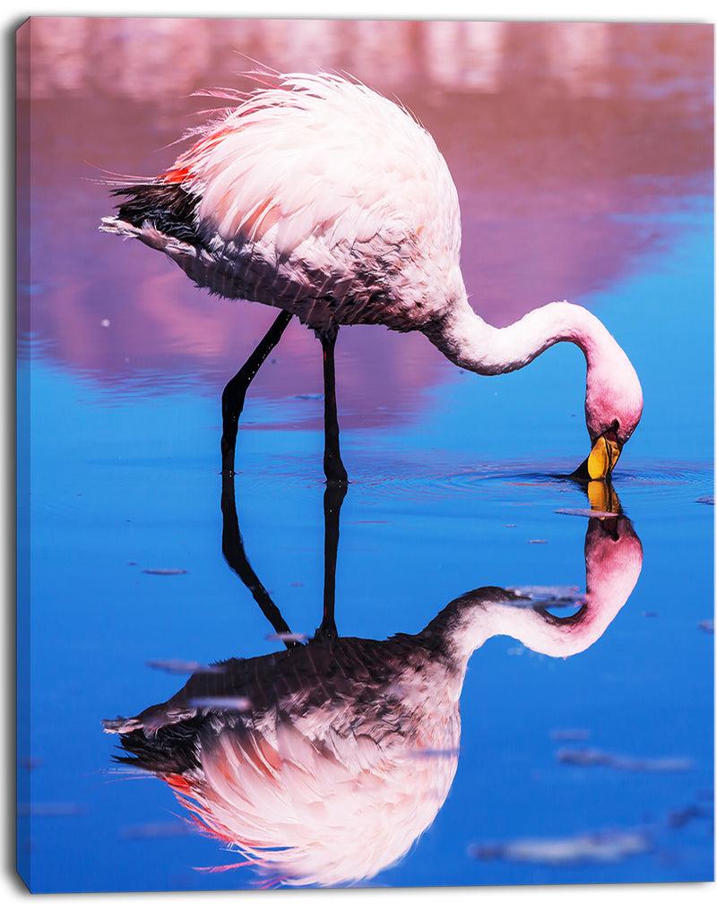 DesignQ Beautiful Food Seeking Flamingo - Extra Large African Art Print
