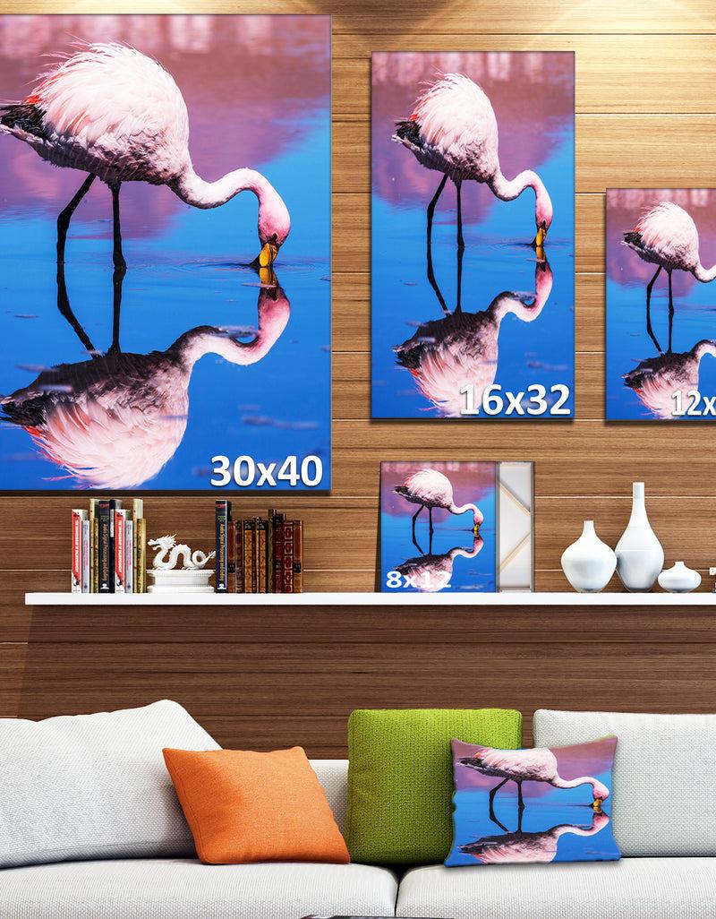 DesignQ Beautiful Food Seeking Flamingo - Extra Large African Art Print