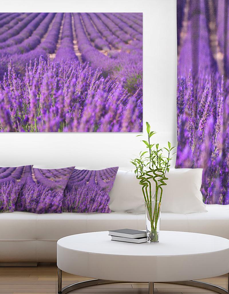 DesignQ Beautiful Fragrant Lavender Fields - Large Floral Canvas Art Print
