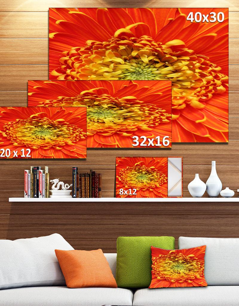 DesignQ Beautiful Gerbera Flower In Brig - Modern Floral Wall Artwork
