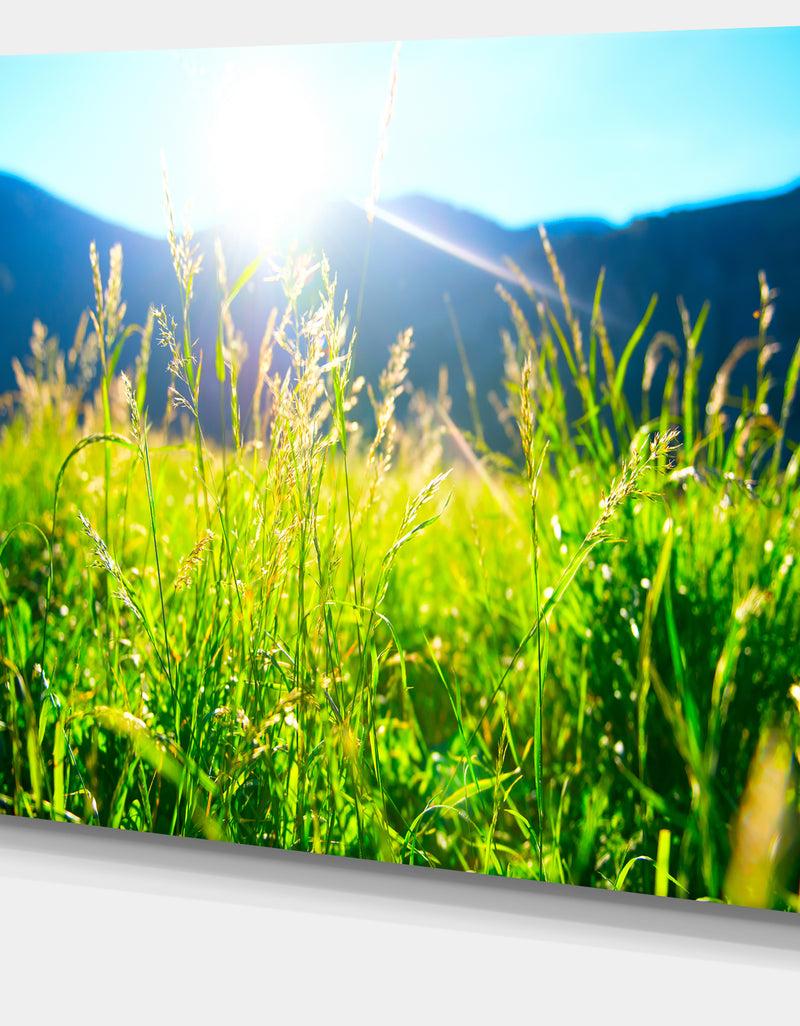 DesignQ Beautiful Green Nature Wonder - Landscape Wall Artwork