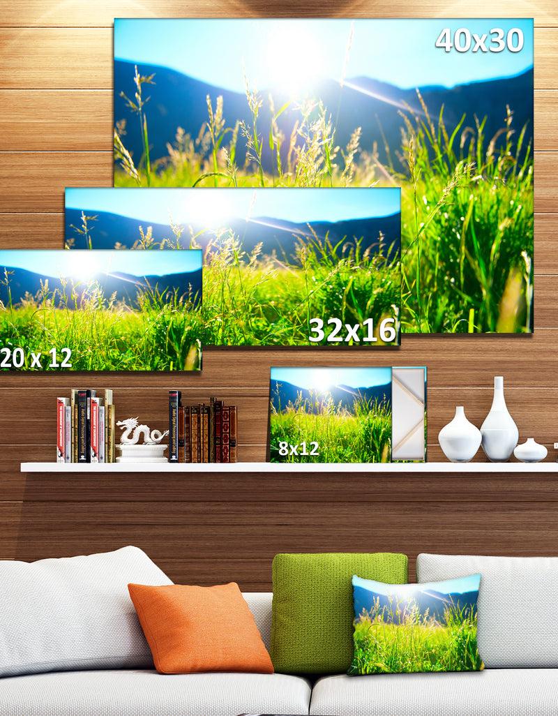 DesignQ Beautiful Green Nature Wonder - Landscape Wall Artwork