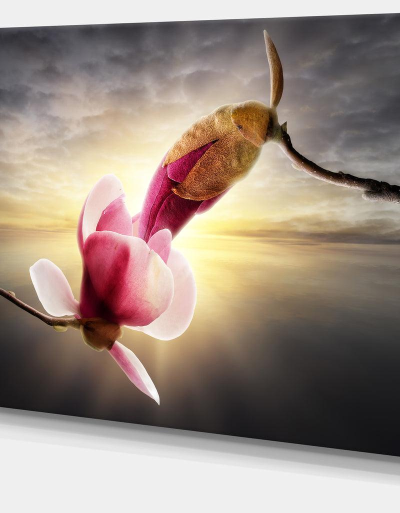 DesignQ Beautiful Magnolia Flowers - Floral Canvas Wall Art