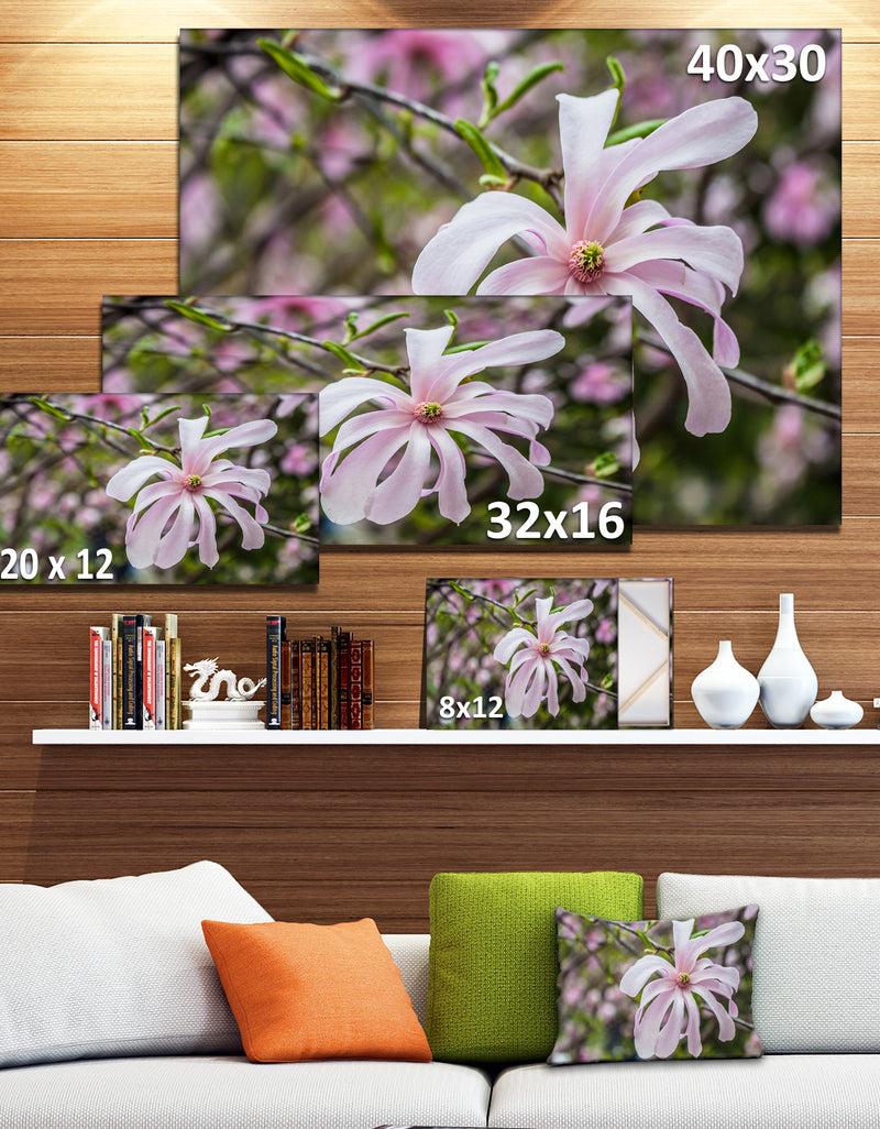 DesignQ Beautiful Magnolia Flowers - Modern Floral Large Canvas Art