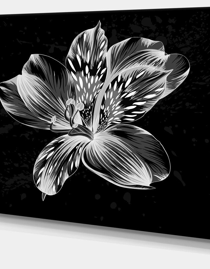 DesignQ Beautiful Monochrome Alstroemeria Flower - Extra Large Floral Wall Art