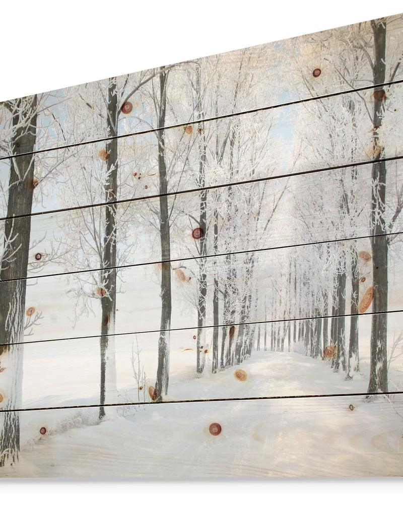 DesignQ Beautiful Winter Forest Lane Photo - Forest Print On Natural Pine Wood
