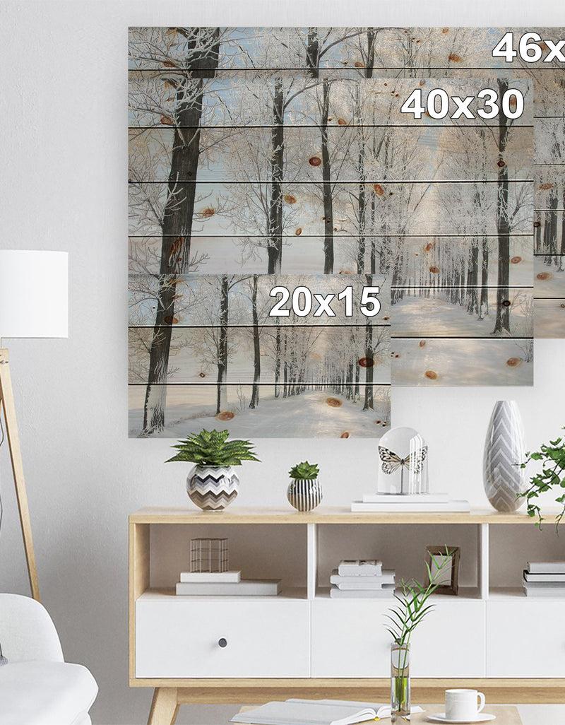 DesignQ Beautiful Winter Forest Lane Photo - Forest Print On Natural Pine Wood