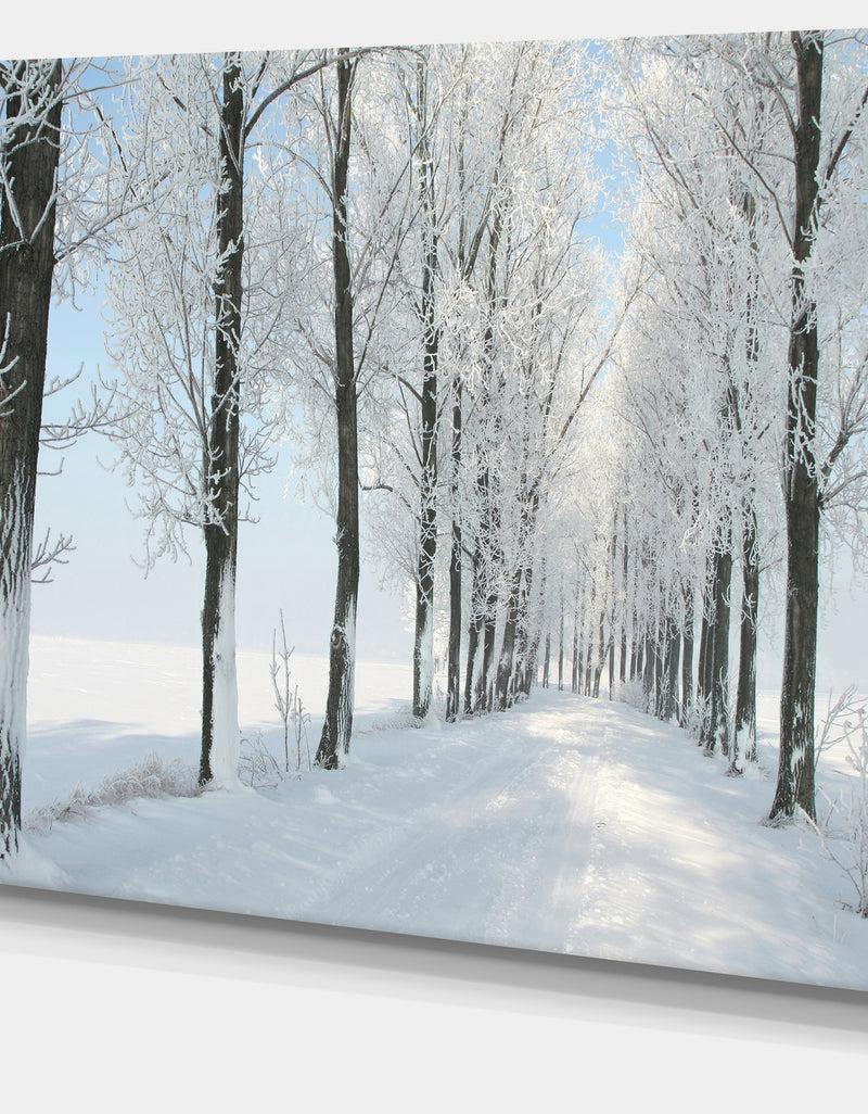 DesignQ Beautiful Winter Forest Lane Photo - Large Forest Artwork Canvas