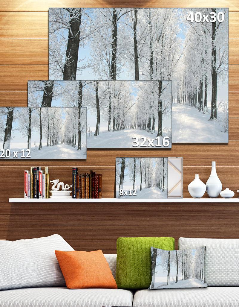 DesignQ Beautiful Winter Forest Lane Photo - Large Forest Artwork Canvas