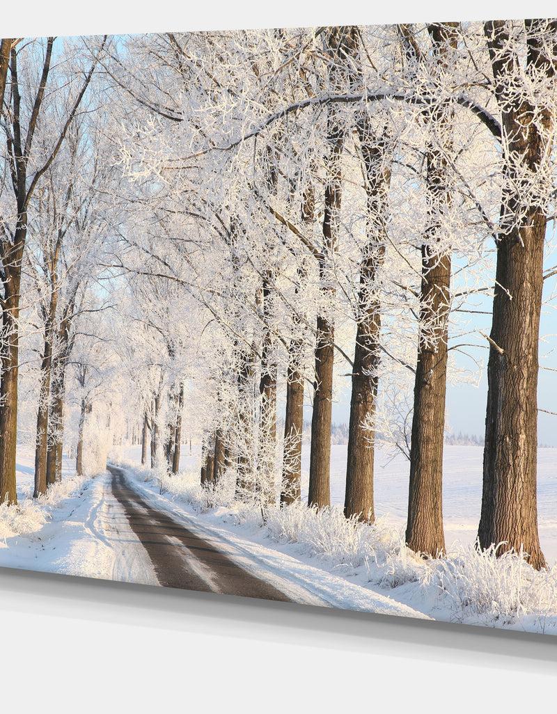 DesignQ Beautiful Winter Lane At Morning - Large Forest Artwork Canvas