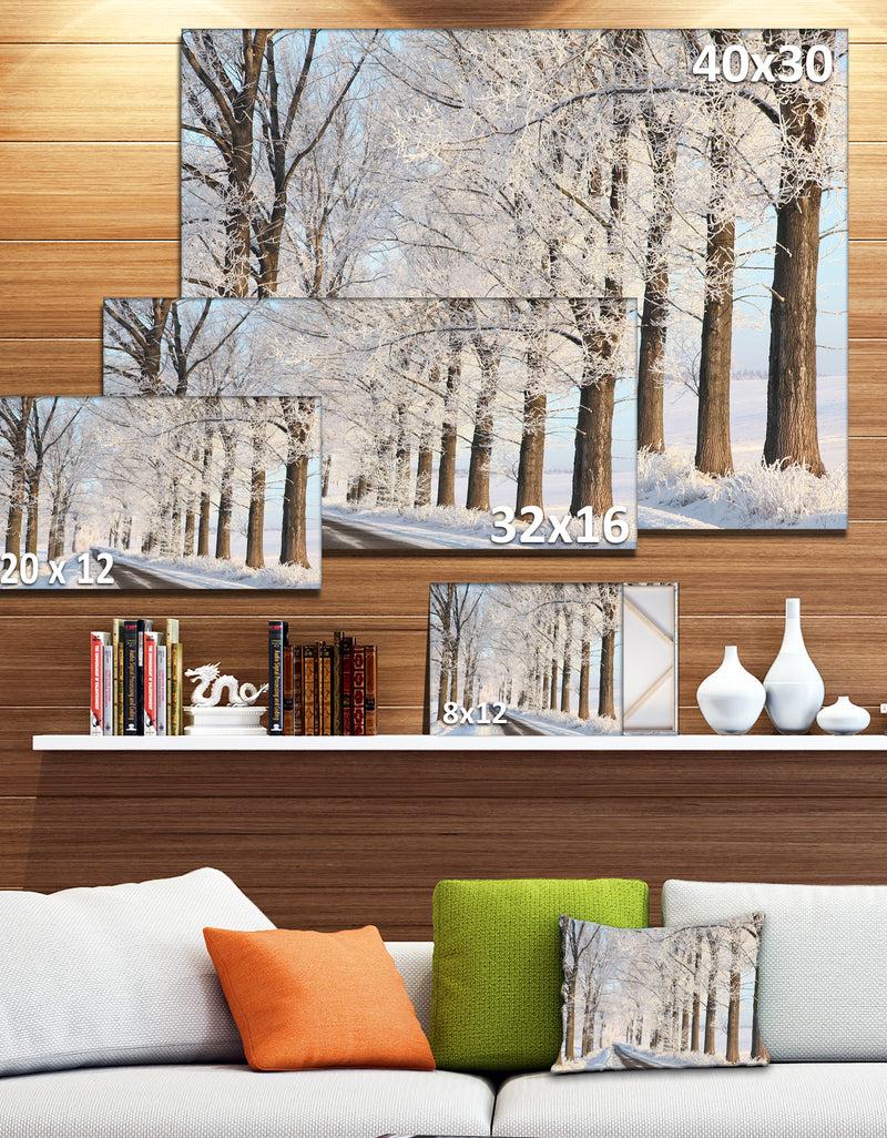 DesignQ Beautiful Winter Lane At Morning - Large Forest Artwork Canvas