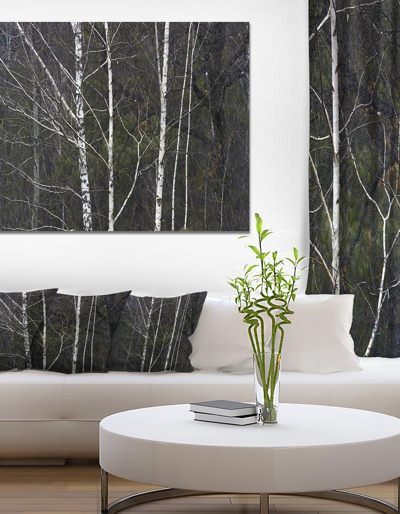 DesignQ Black and White Birch Forest - Abstract Wall Art Canvas
