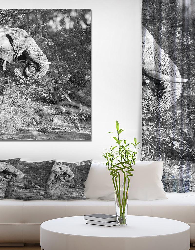 DesignQ Black and white elephant - Africa Animals Painting Print on Wrapped Canvas
