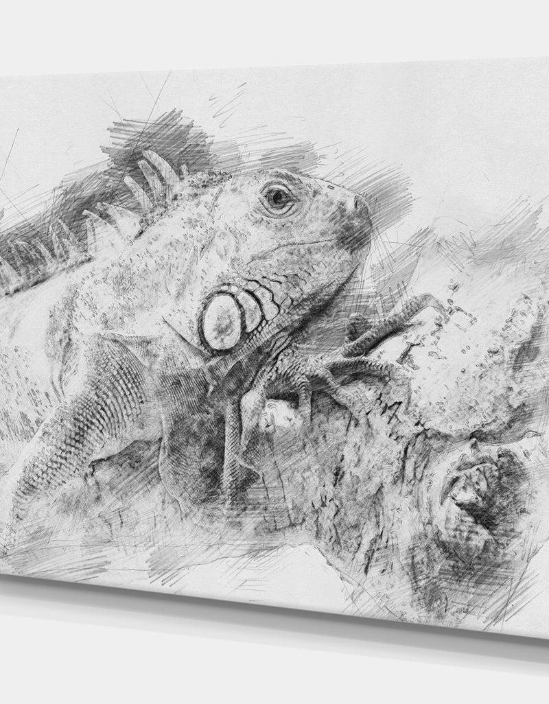 DesignQ Black And White Iguana Sketch - Animals Painting Print On Wrapped Canvas