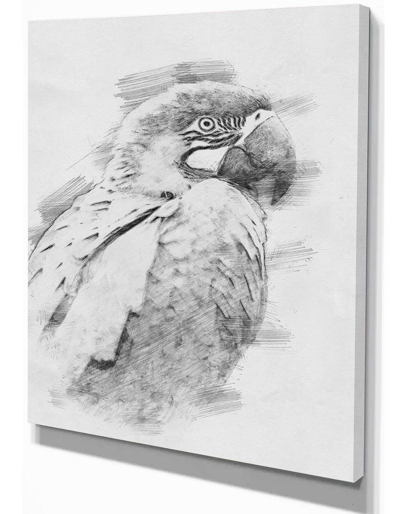 DesignQ Black And White Parrot Pencil Sketch - Animals Painting Print On Wrapped Canvas