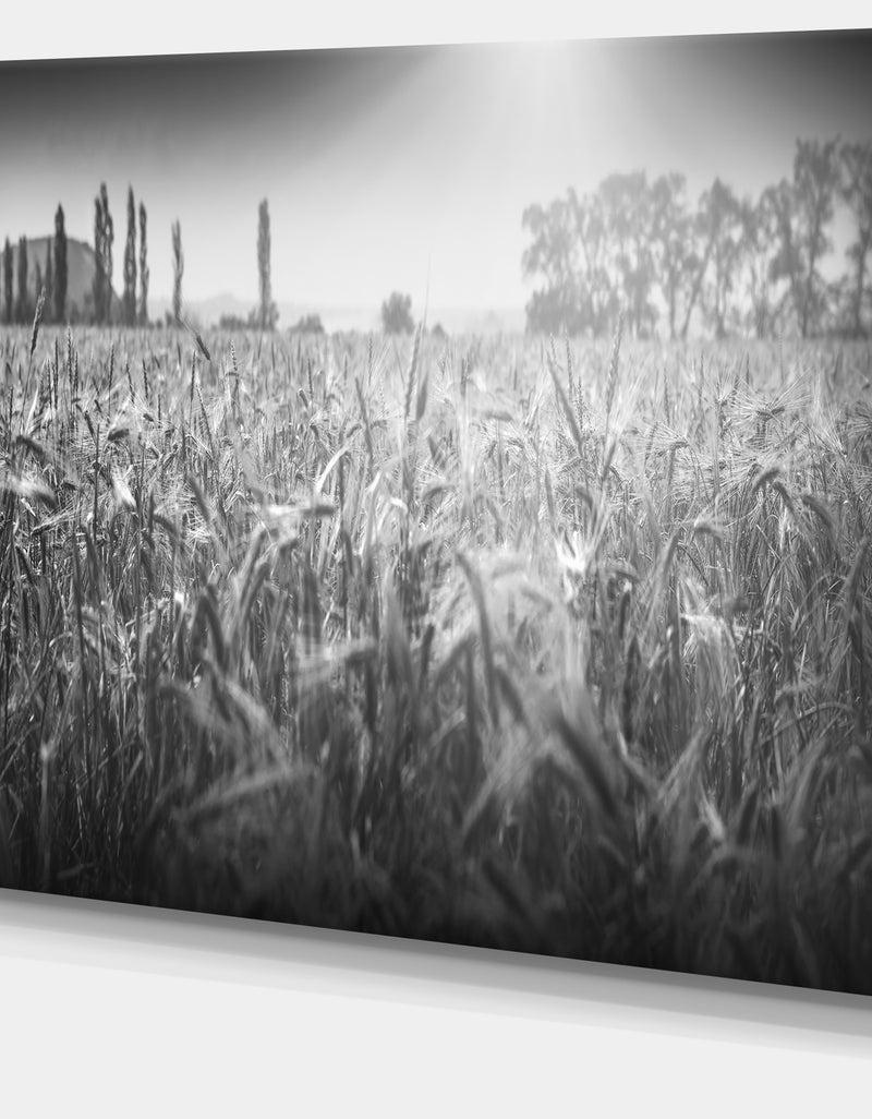 DesignQ Black And White Wheat Field - Landscape Wall Art Canvas Print