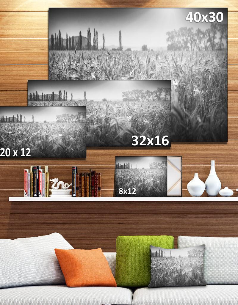 DesignQ Black And White Wheat Field - Landscape Wall Art Canvas Print
