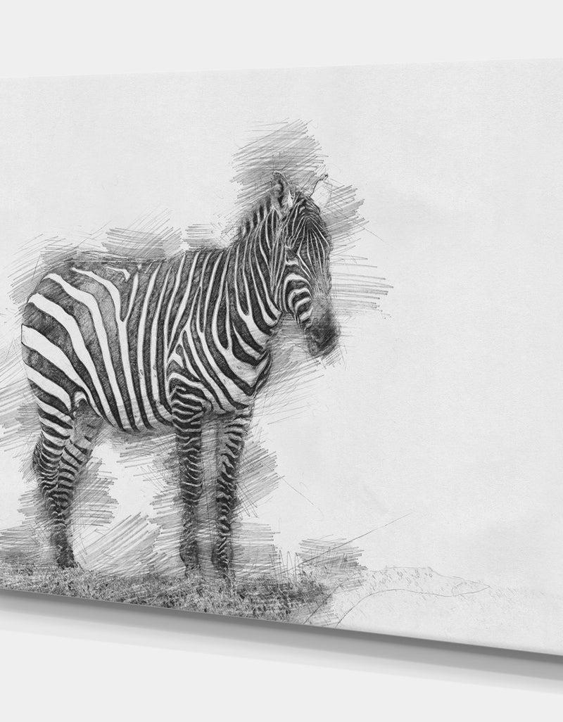DesignQ Black And White Zebra Sketch - Animals Painting Print On Wrapped Canvas