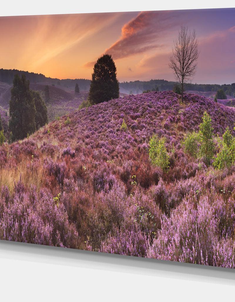 DesignQ Blooming Heather At Dawn Panorama - Landscape Wall Art On Canvas