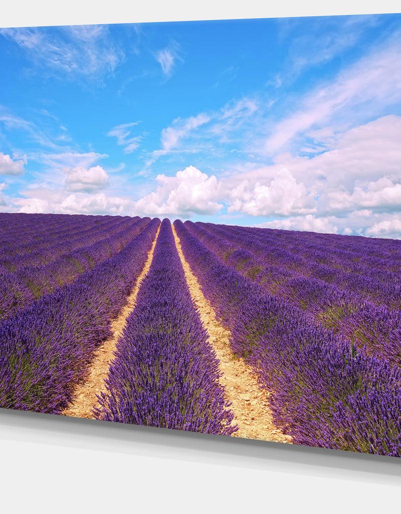 DesignQ Blooming Lavender Flower Field - Oversized Landscape Wall Art Print
