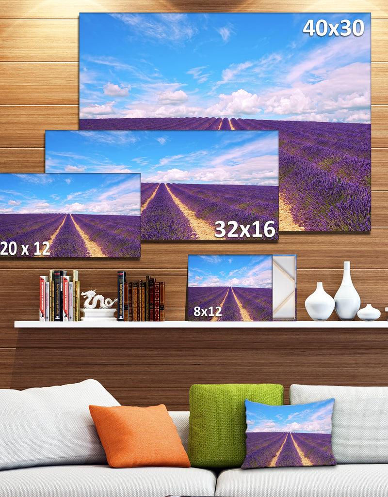 DesignQ Blooming Lavender Flower Field - Oversized Landscape Wall Art Print