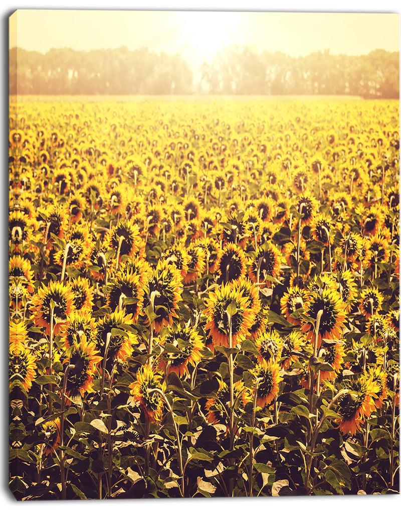 DesignQ Blooming Sunflowers At Sunset - Oversized Landscape Canvas Art