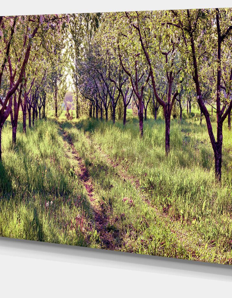 DesignQ Blossom Apples Garden Photography Canvas Art Print