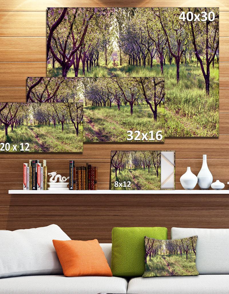 DesignQ Blossom Apples Garden Photography Canvas Art Print