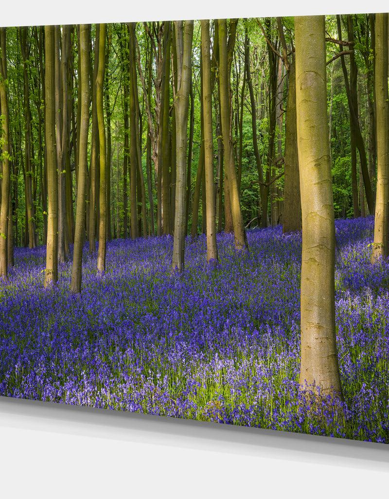 DesignQ Bluebell Woods In Oxfordshire - Extra Large Landscape Canvas Art Print