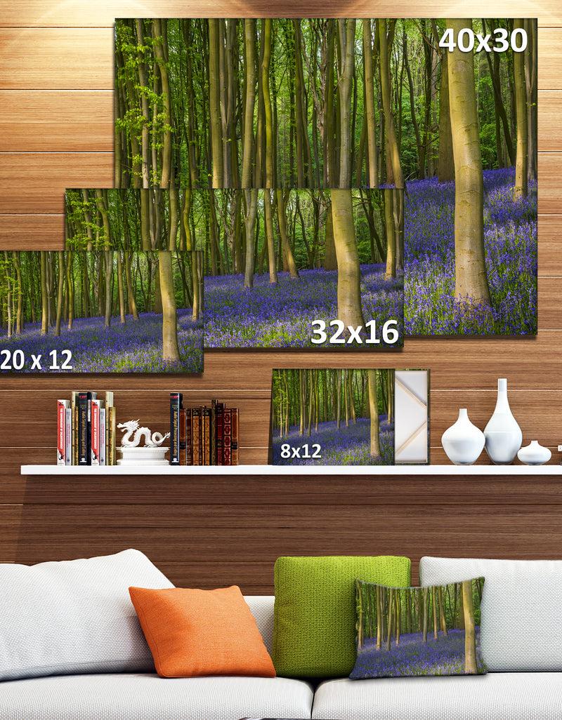 DesignQ Bluebell Woods In Oxfordshire - Extra Large Landscape Canvas Art Print