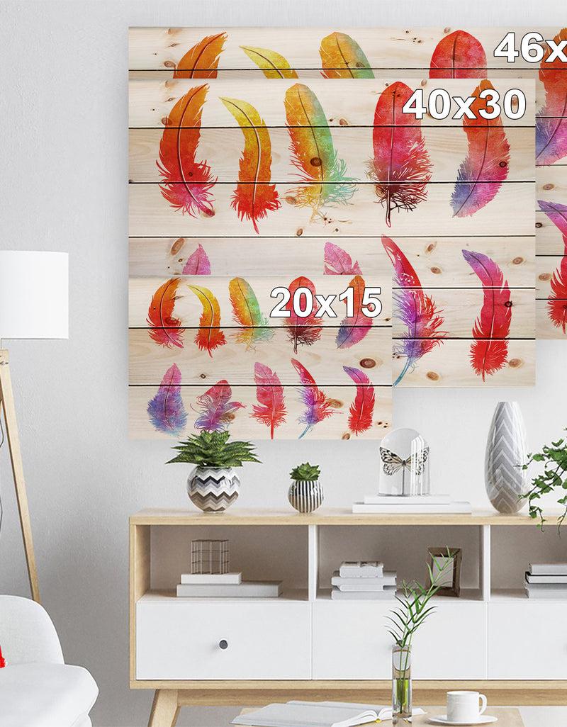 DesignQ Bright Colorful Feather Set - Animals Painting Print On Natural Pine Wood
