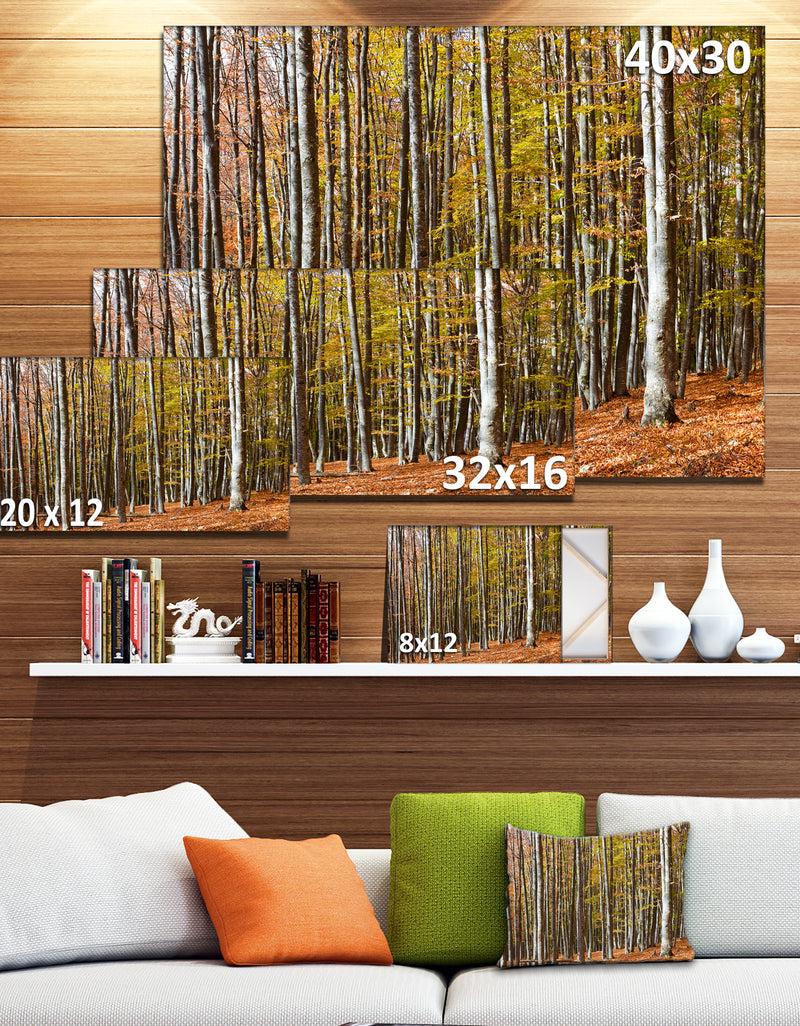 DesignQ Bright Day In Thick Forest - Modern Forest Canvas Art