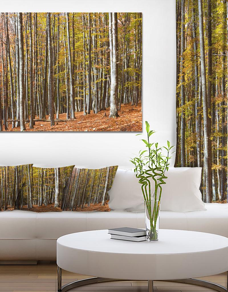 DesignQ Bright Day In Thick Forest - Modern Forest Canvas Art