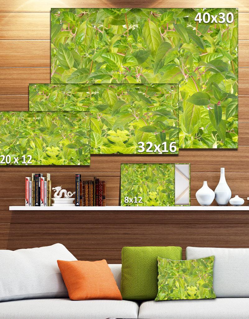 DesignQ Bright Fuchsia Green Foliage - Modern Floral Large Canvas Art