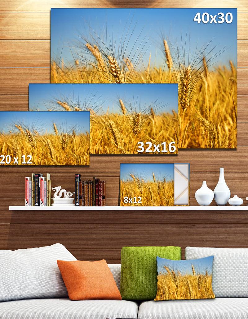 DesignQ Bright Golden Wheat Field - Landscape Wall Art Print Canvas